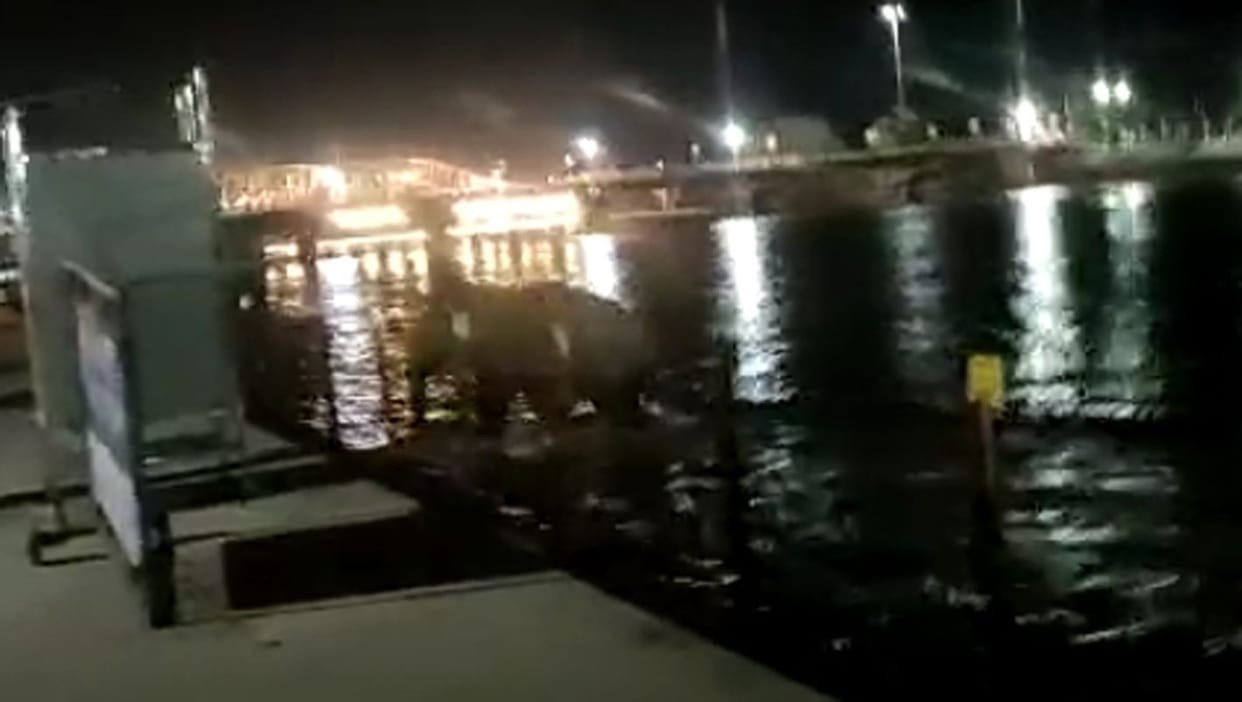 Two elephants entered the population, plunged into the Ganges