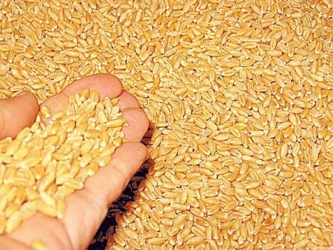 corona-lkh