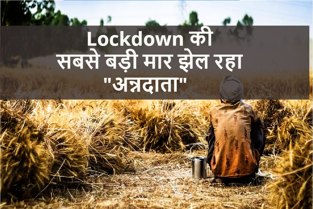 Lock down: crops will be cut but where will they sell