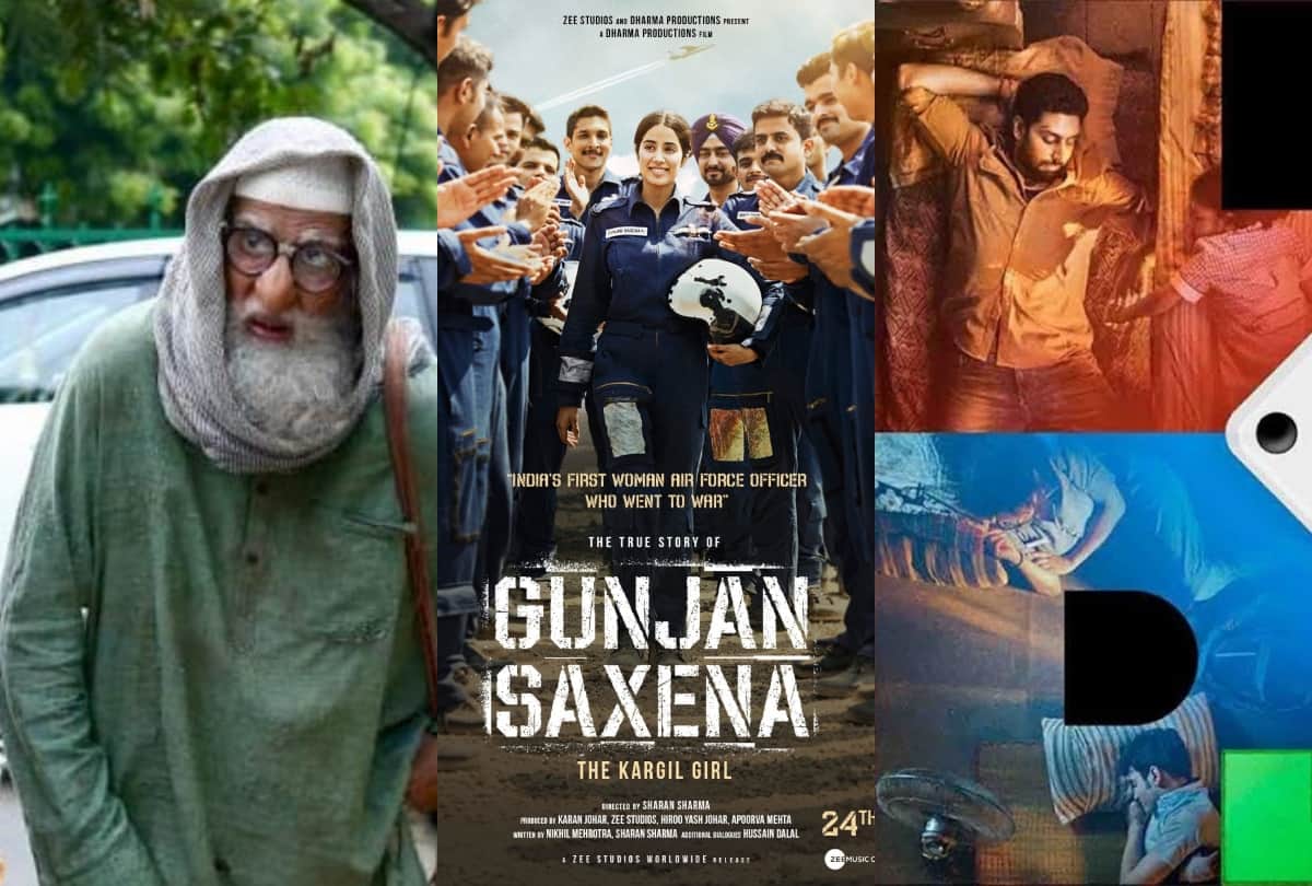 Coronavirus outbreak Gulabo Sitabo Gunjan Saxena The Kargil Girl   Ludo these film will not release after lockdown