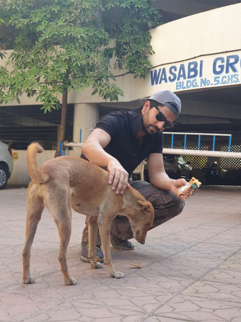 CoronaVirus outbreak Kundali Bhagya actor Manit Joura feed stray   dogs during lockdown due to covid 19