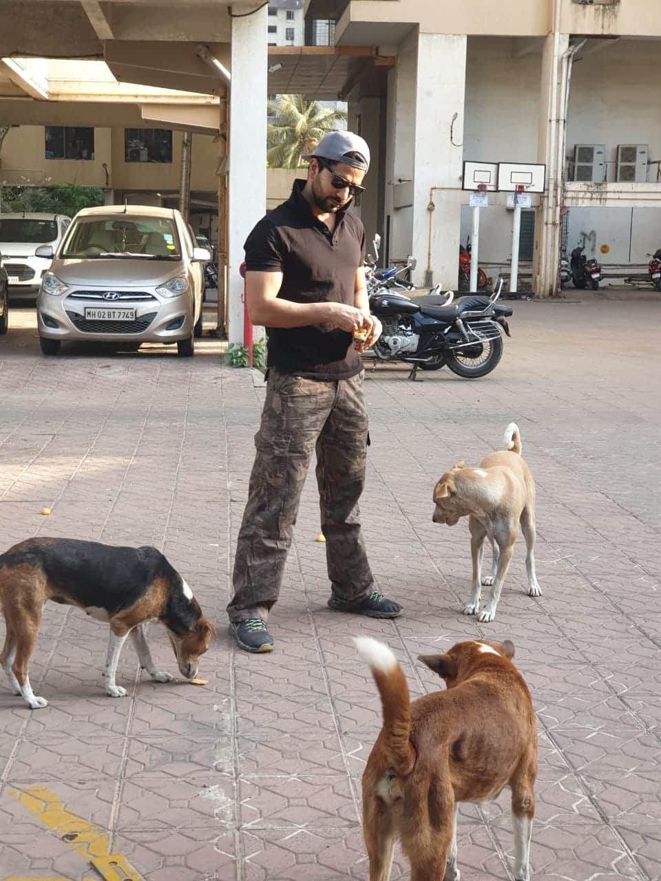 CoronaVirus outbreak Kundali Bhagya actor Manit Joura feed stray   dogs during lockdown due to covid 19