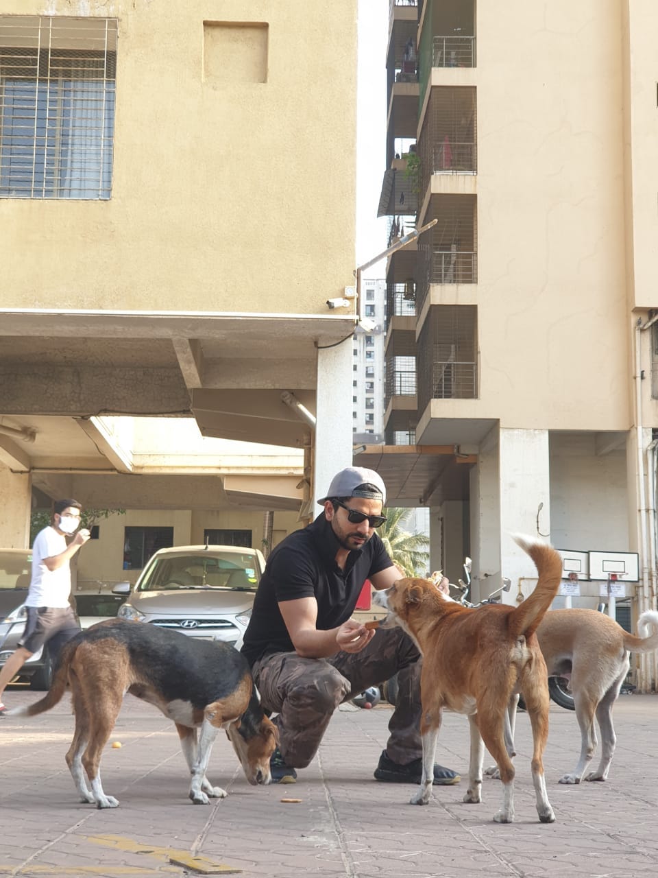 CoronaVirus outbreak Kundali Bhagya actor Manit Joura feed stray   dogs during lockdown due to covid 19