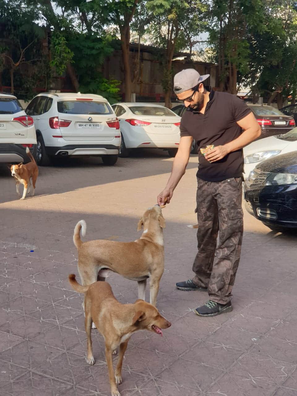 CoronaVirus outbreak Kundali Bhagya actor Manit Joura feed stray   dogs during lockdown due to covid 19