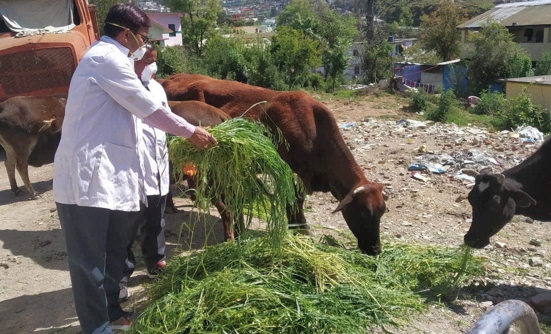 The women of Riyansi provided fodder for animals