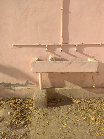 Danger in Ballia's Quarantine Center, panic due to snake out