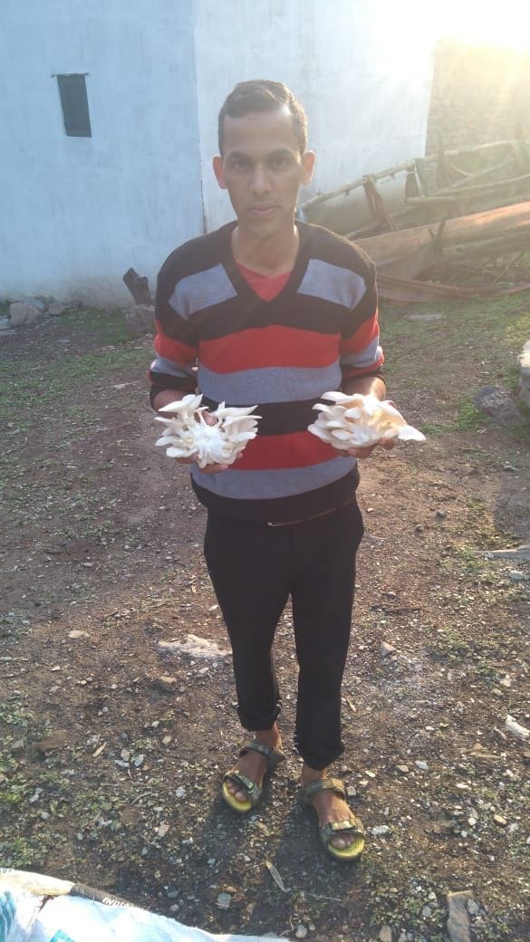 Mushroom production done by building a plant in the village