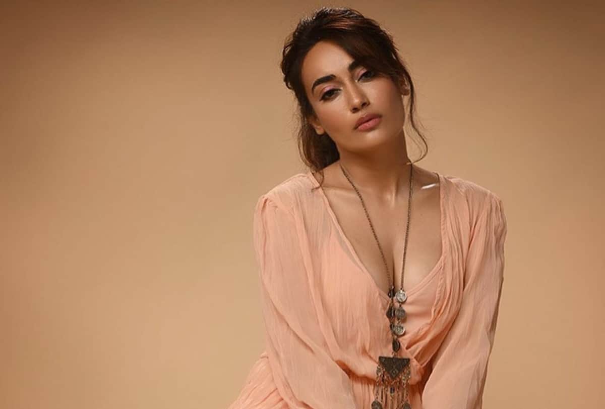 after mouni roy nagin actress surabhi jyoti showed her bold look on instagram