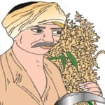 सांकेतिक तस्वीर