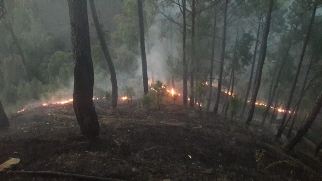 Fire in Kosi Katarmal forest again