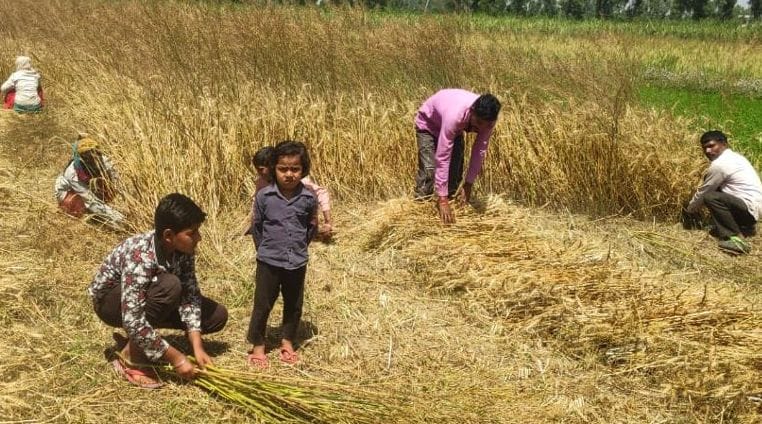 Demand to open agricultural machinery installations