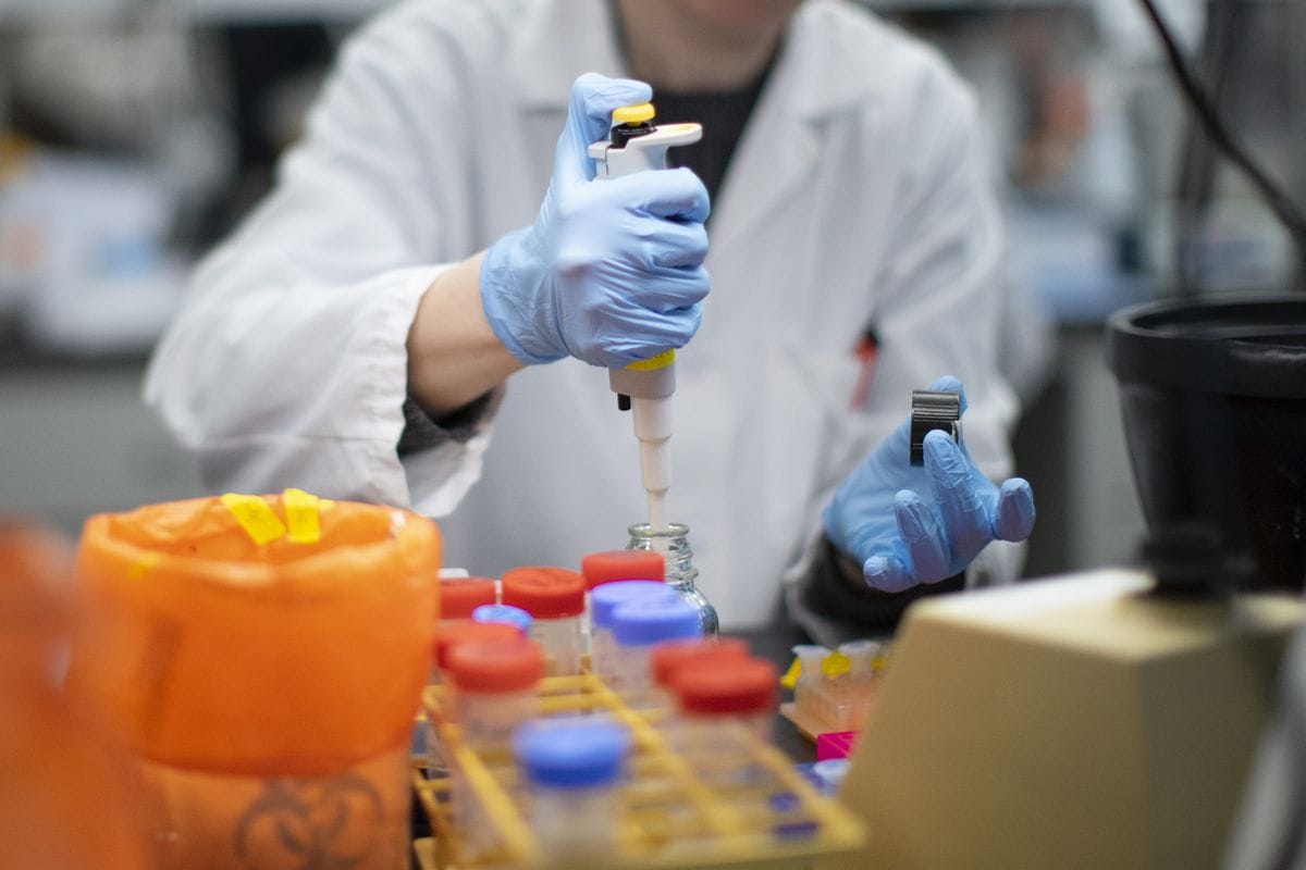 Waiting for the report of two Indonesians, 26 samples will be sent