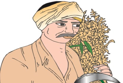 Agriculture University Palampur Research: Malnutrition will reduce by adding micronutrients to soil and crops