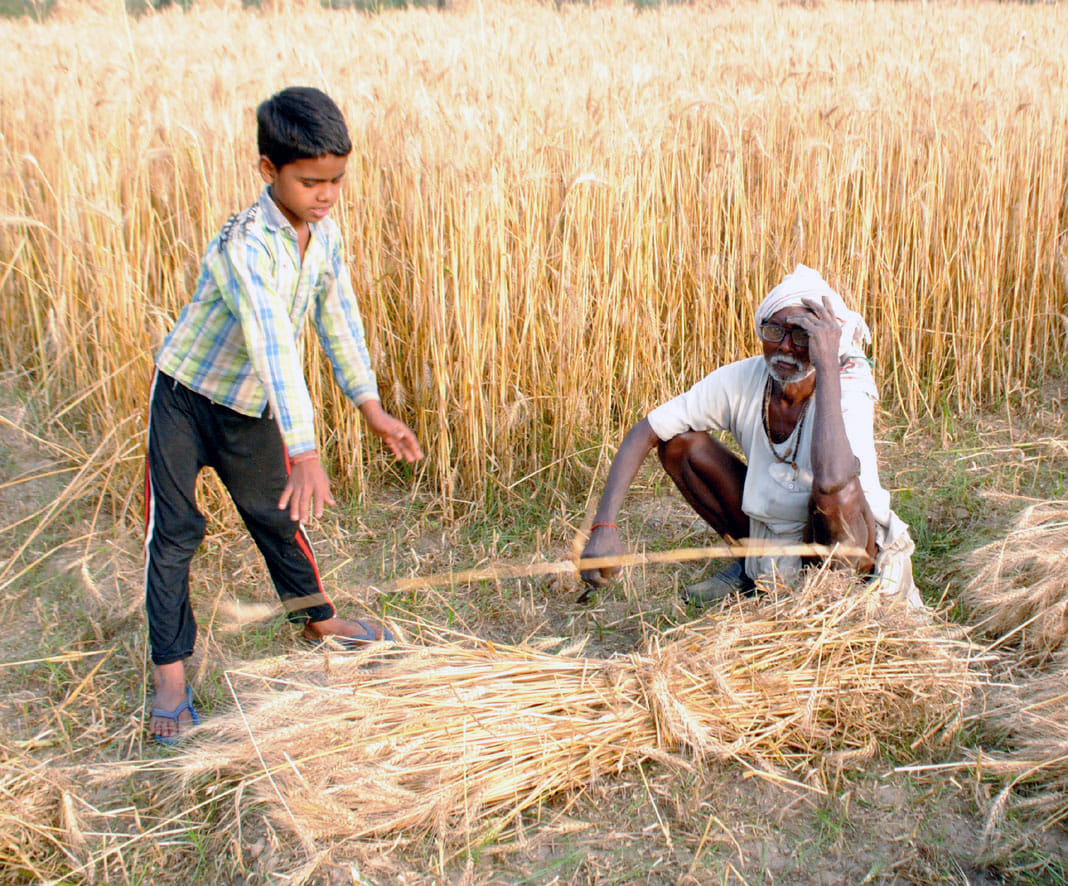 Farmers worry about crop with corona in Chitrakoot