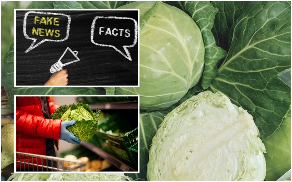 Fact Check Myths Have Been Viral Cabbage may Occur Coronavirus Who Facts