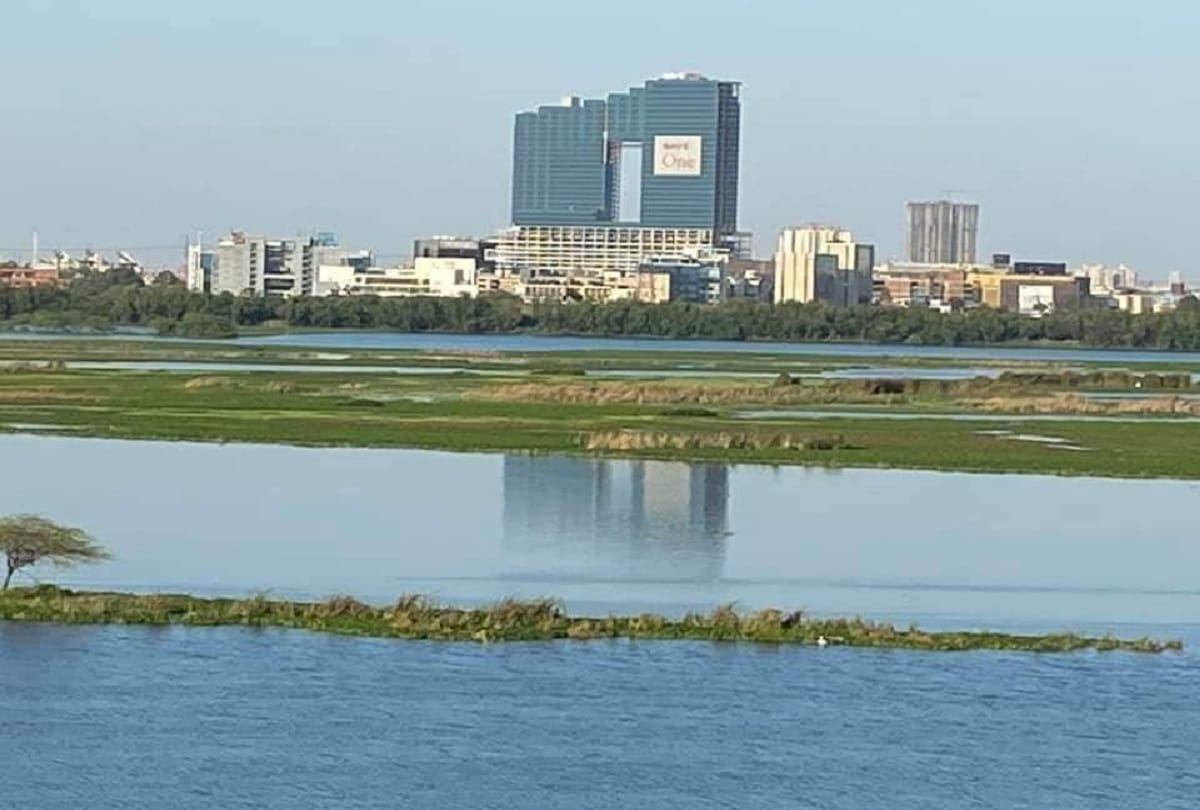 Yamuna cleaned in lockdown see all pictures