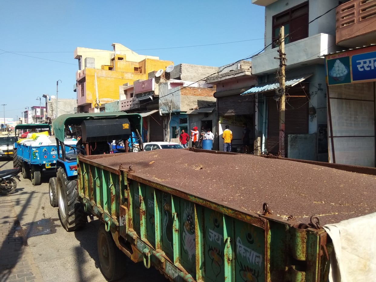 Farmer arival in grain market, don't getting comission agent.