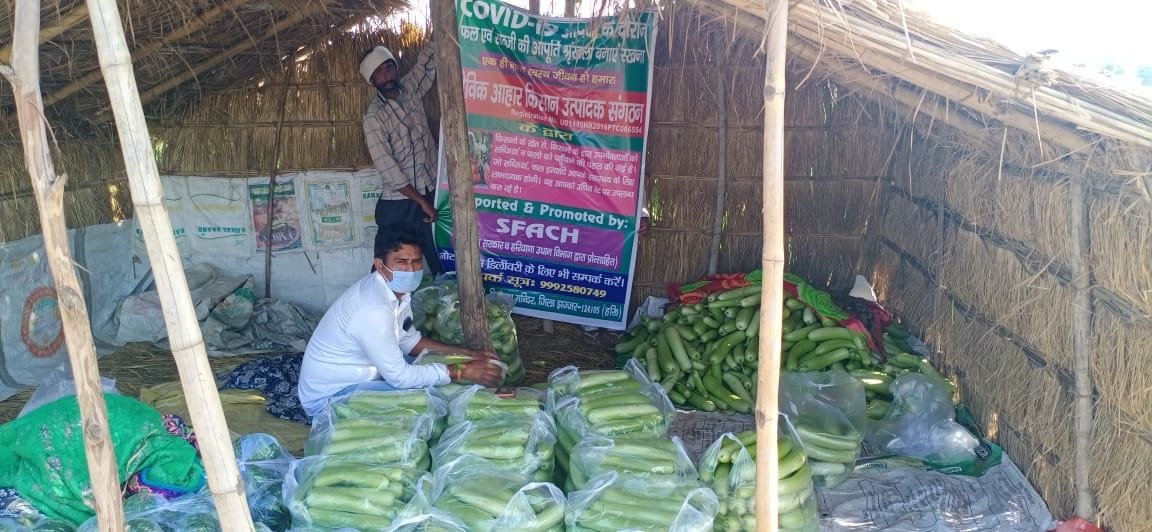 Formers are providing vegitables diretly to home