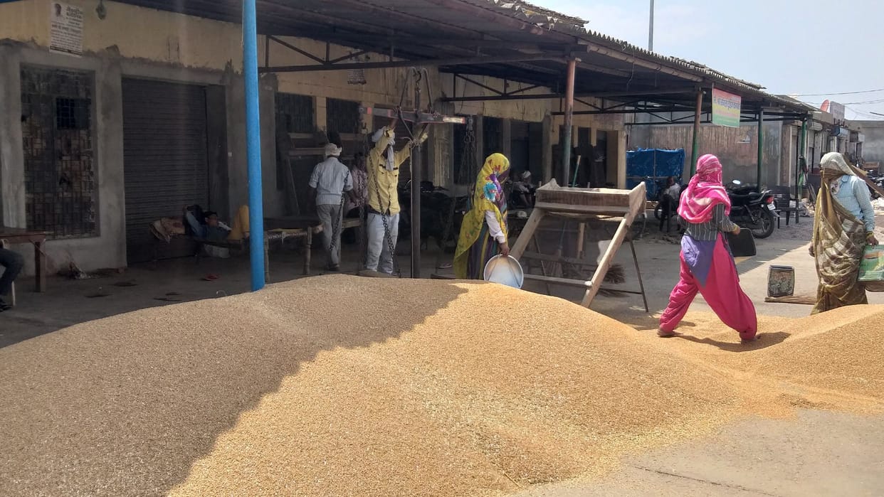 Galla Market