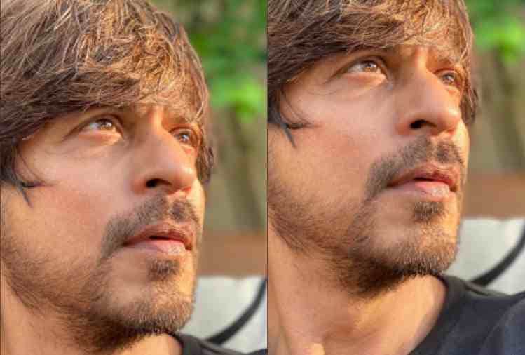 shah rukh khan massage due to coronavirus fight after donation