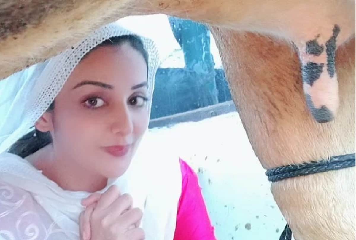 Coronavirus outbreak Sonia Mann learn milking and make butter   during lockdown due to covid 19