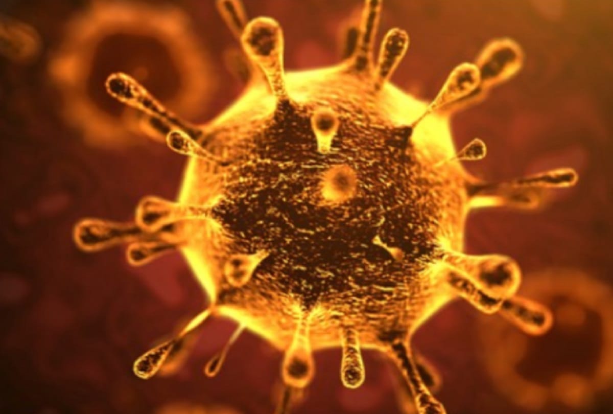 world's four most infectious corona variants, know how dangerous these are for india