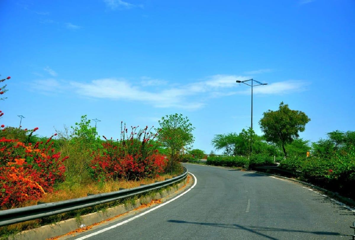 Delhi Government will increase greenery on roads to reduce dust