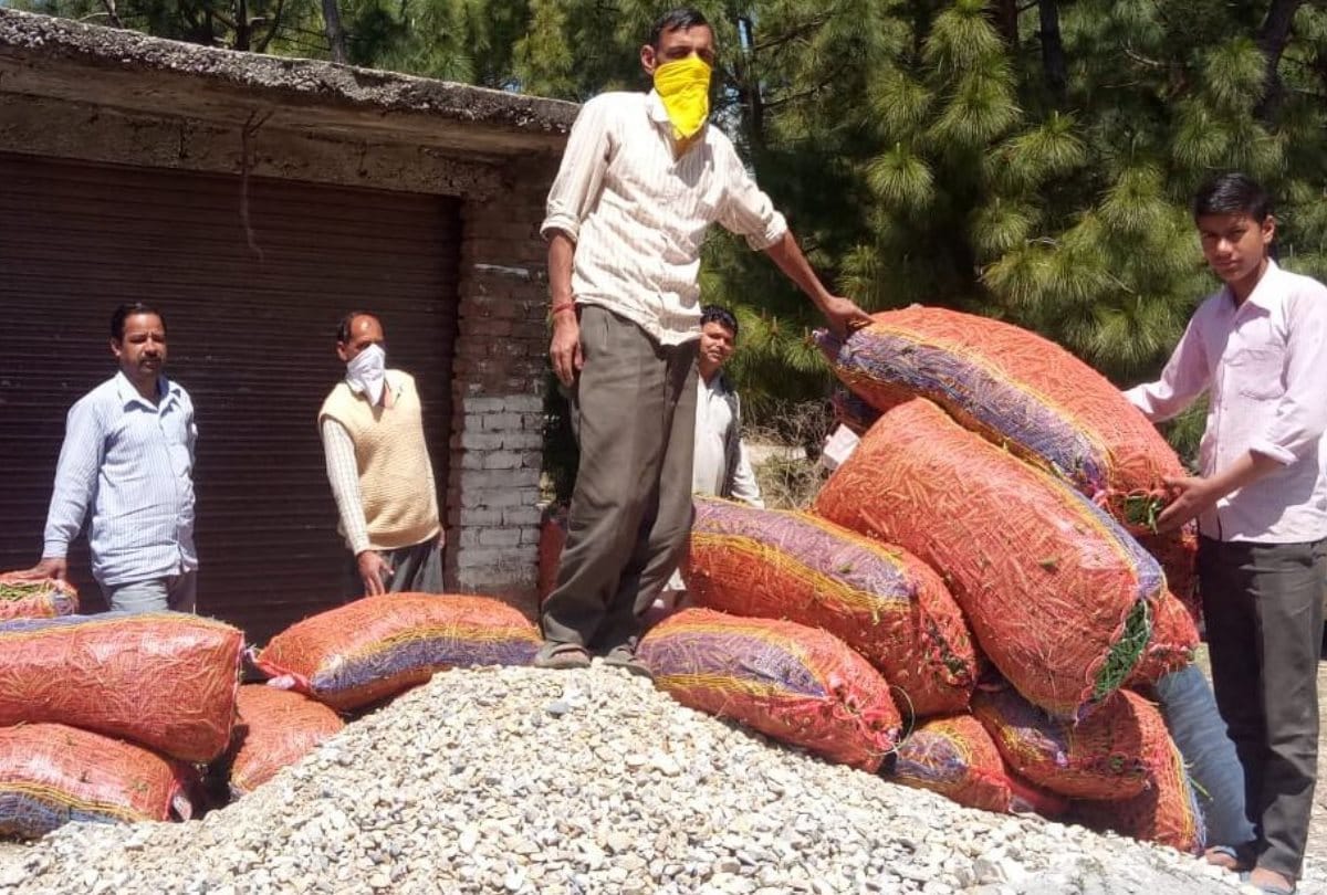 Custom officials have caught two truck peas in Gorakhpur