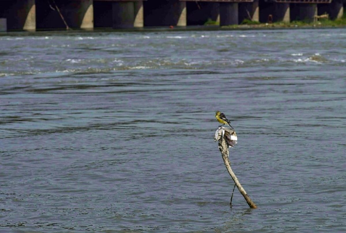 Yamuna water level falls below danger mark in Delhi