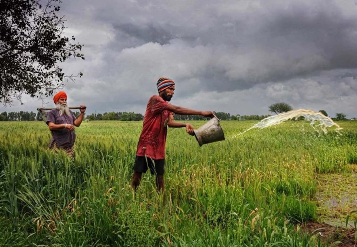 CSA agricultural scientist issued advisory, Important news for farmers