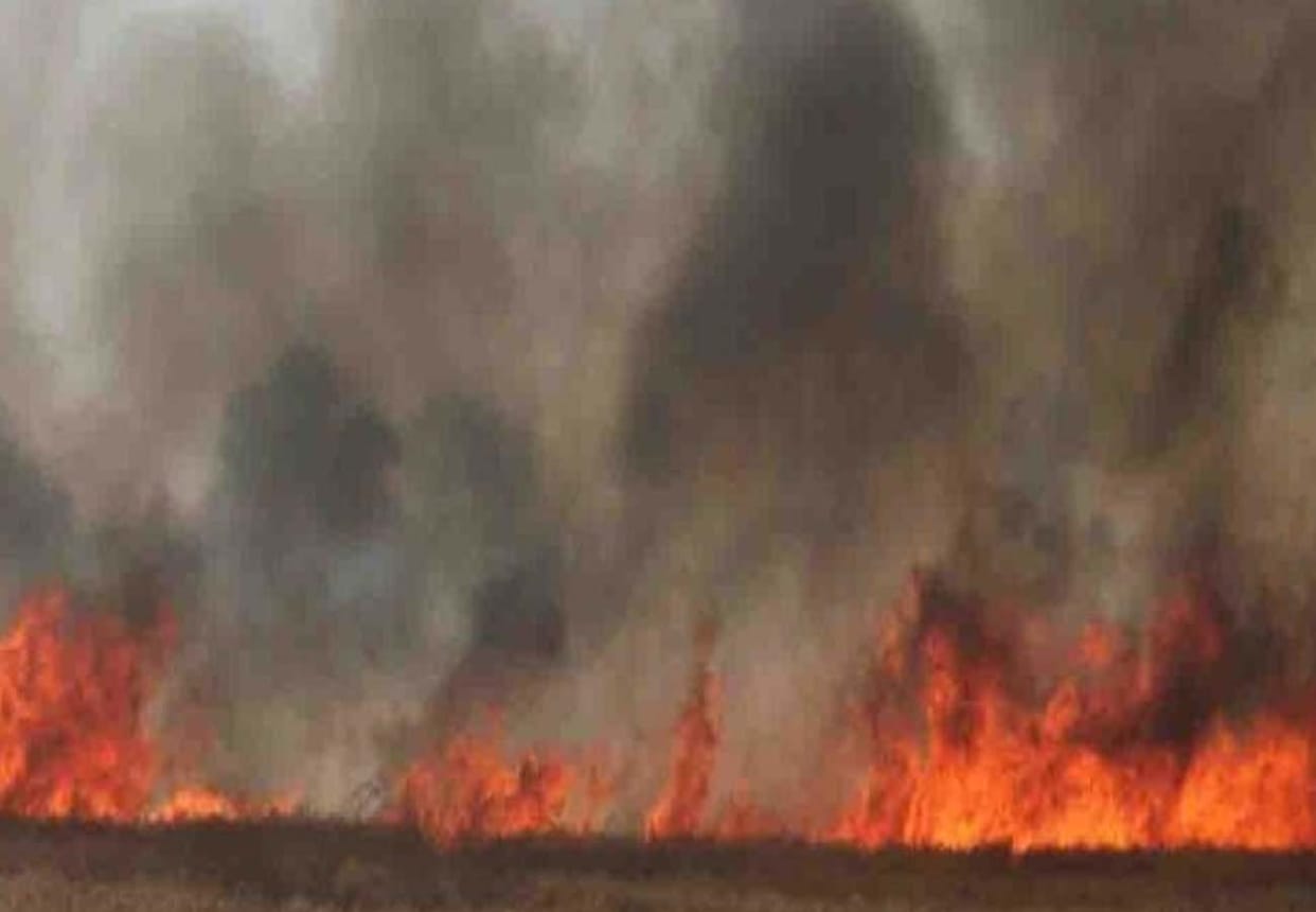 Fire in the farm due to short circuit in chitrakoot