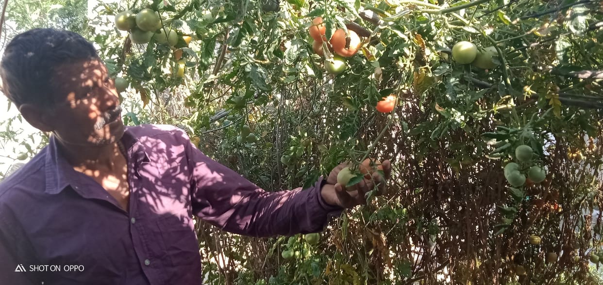 farmer in jepardy
