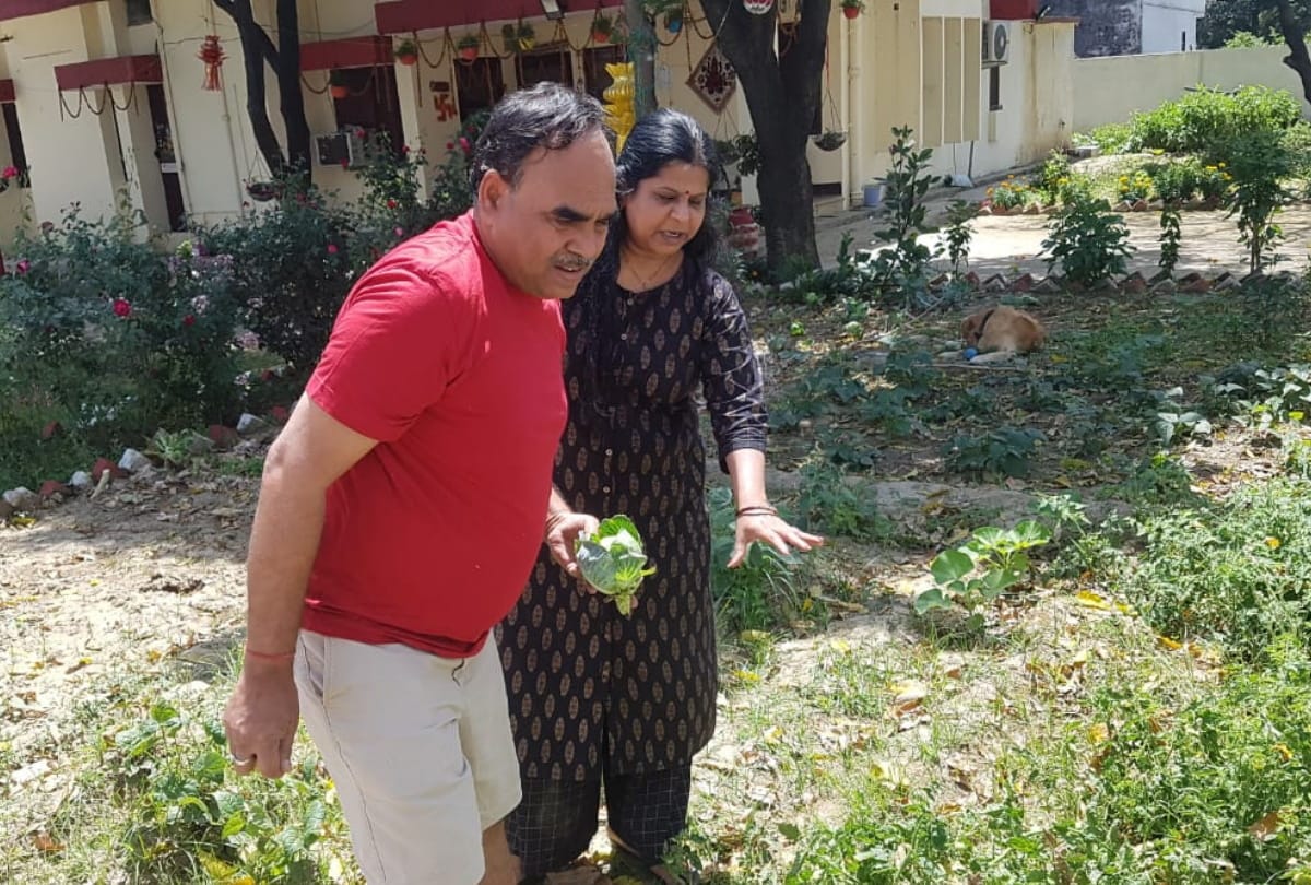 Five Types vegetables Growing in house during lockdown in gorakhpur