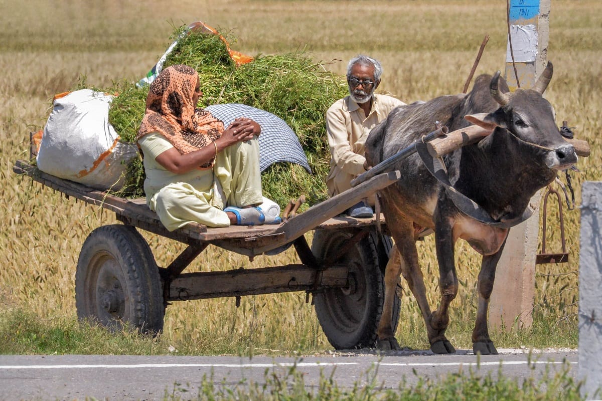 Harvesting, sowing activities, highway dhabas likely to be exempted from extended lockdown