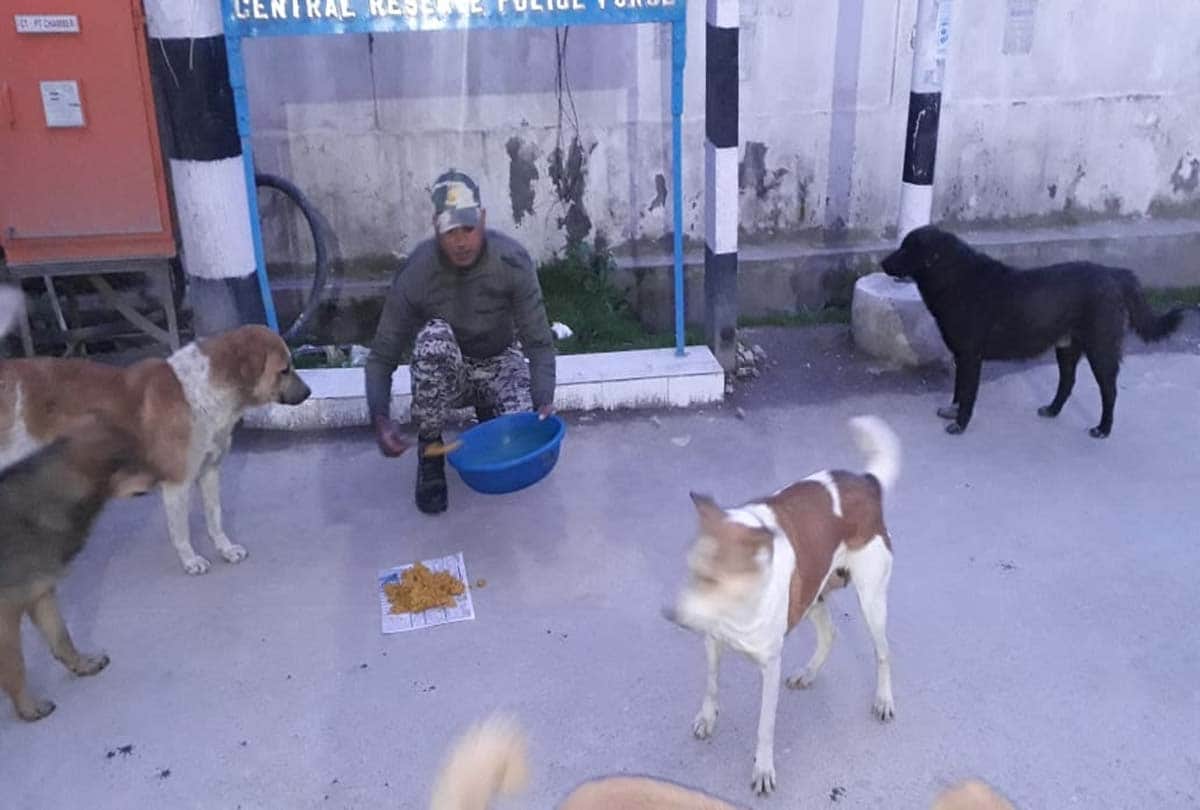Coronavirus in Jammu Kashmir (J&K) News in Hindi, People are helping the needy