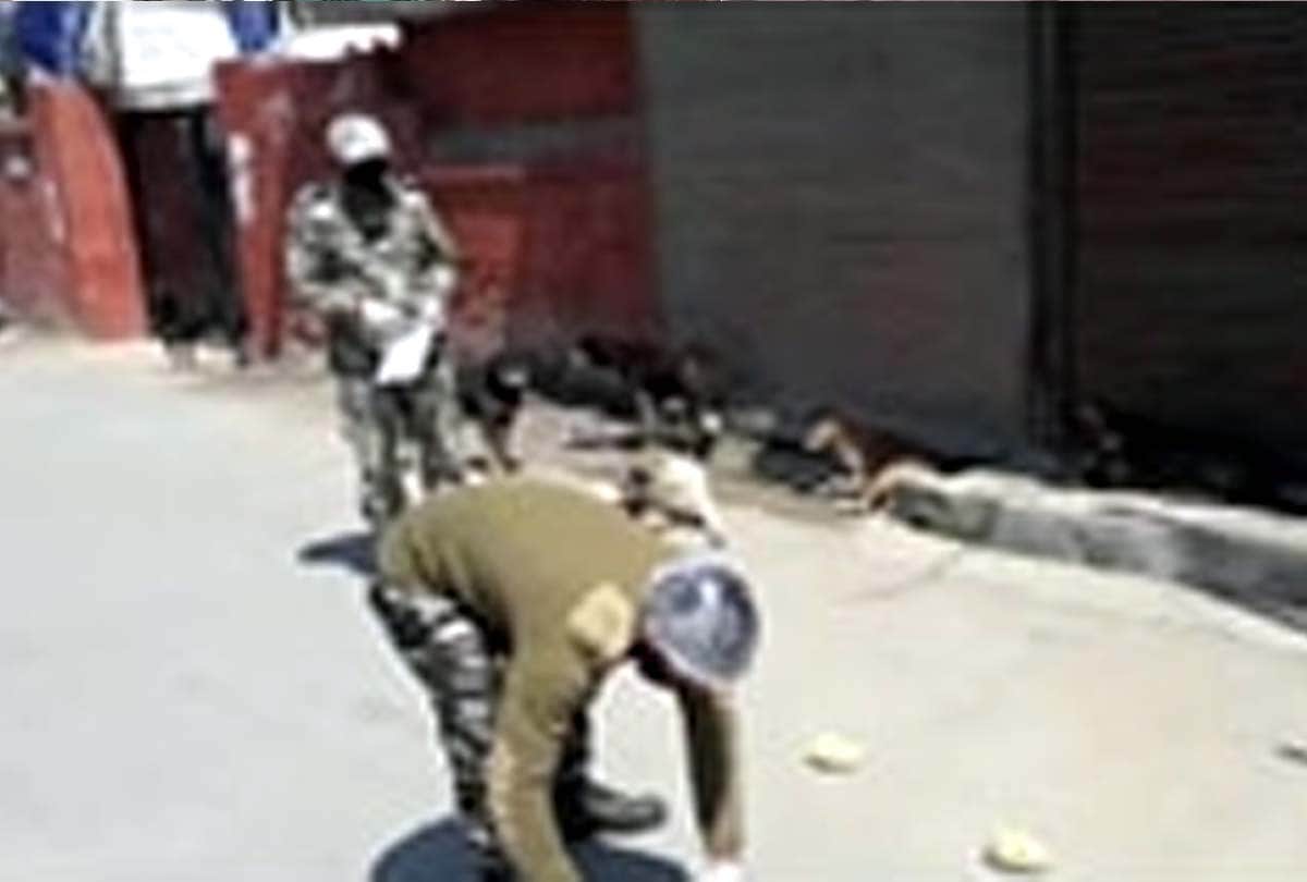 Coronavirus in Jammu Kashmir (J&K) News in Hindi, crpf team of 117 started a campaign to make food available to dogs