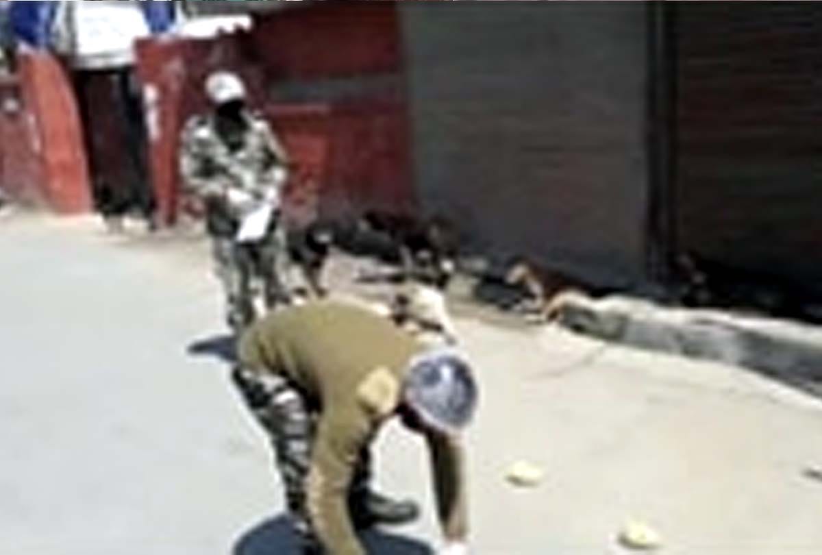 Coronavirus in Jammu Kashmir (J&K) News in Hindi, crpf team of 117 started a campaign to make food available to dogs