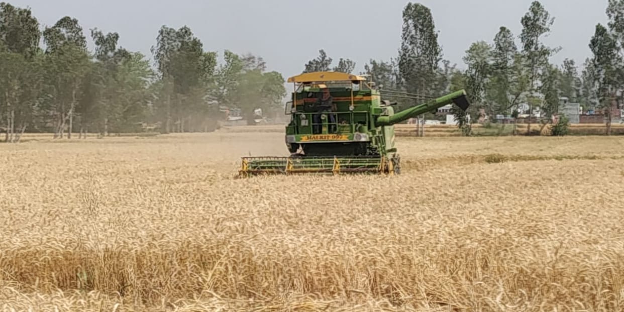 kisan