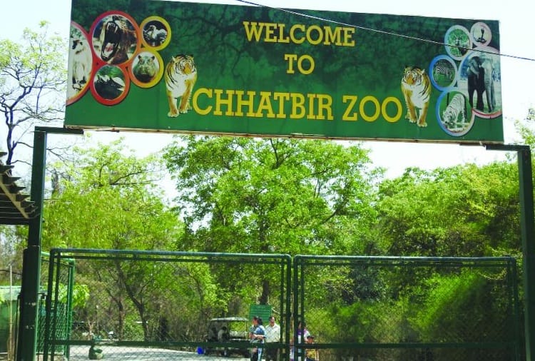 HighAlert: chhatbir Zoo Management Arrangements to protect animals from corona