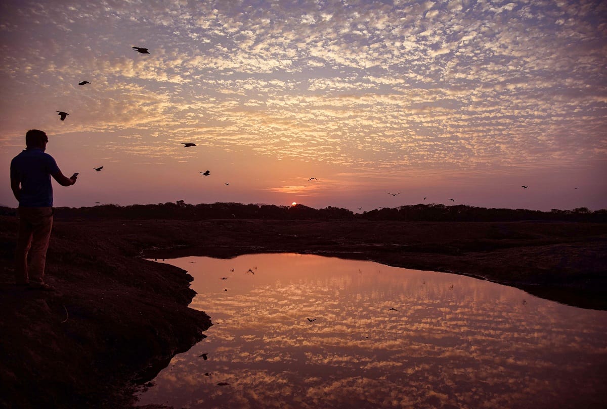 Earth Day 2020 5 ways to save earth protection tips