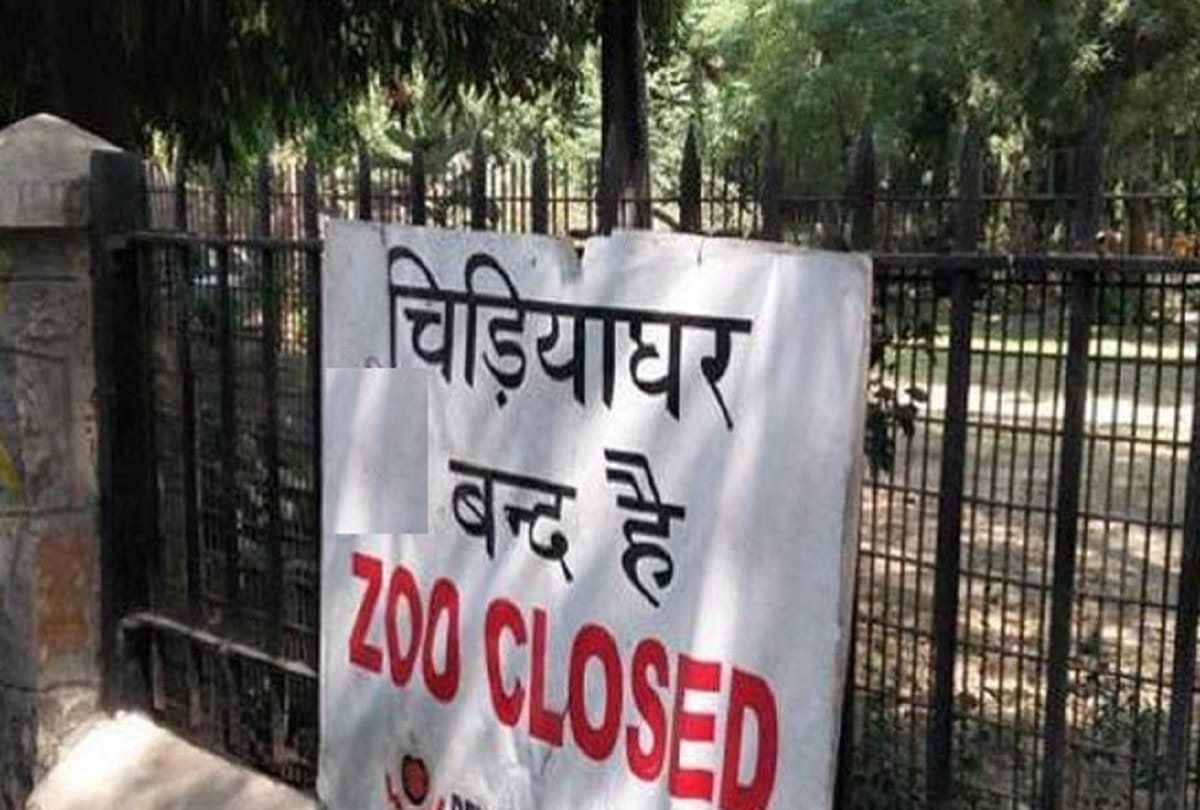Four samples of influenza positive in Delhi Zoo
