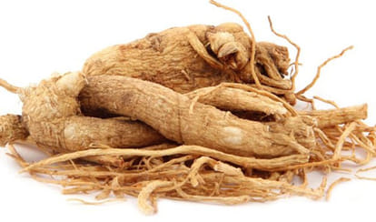 seven plants with medical powers make your immunity system strong and healthy amid coronavirus outbreak