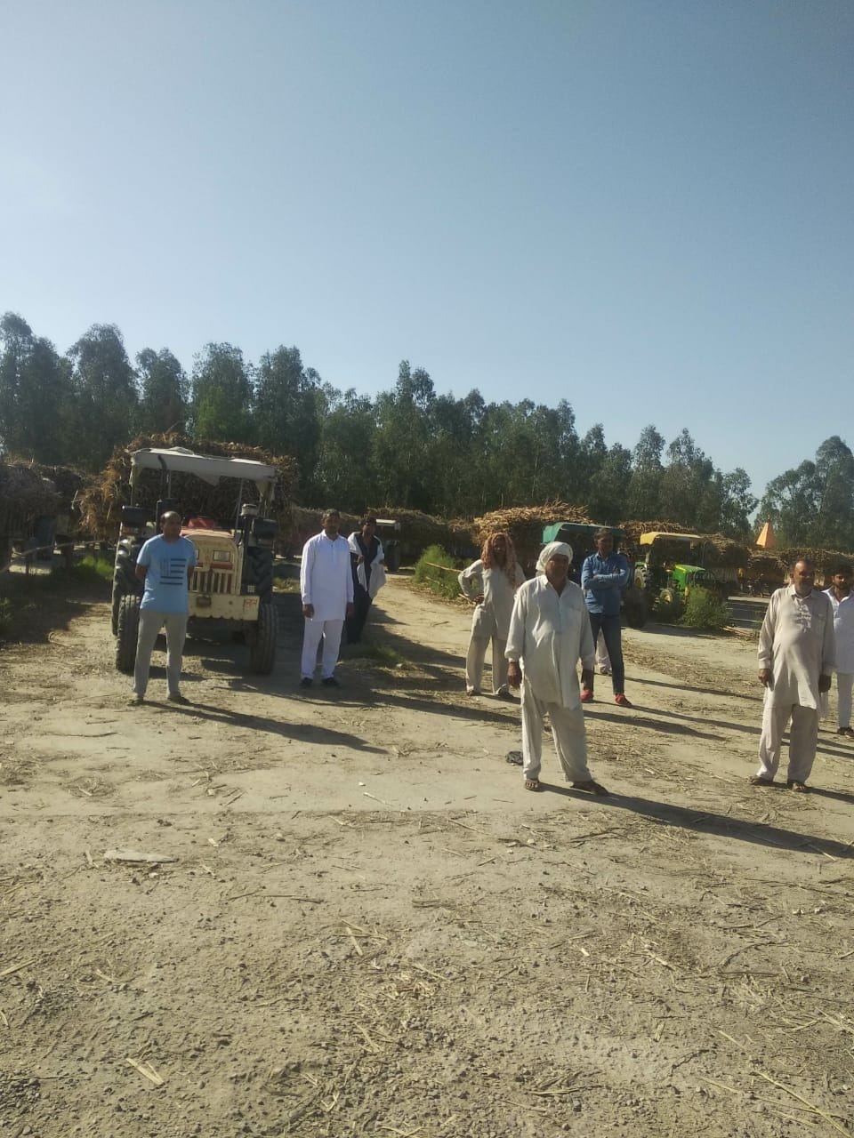 One lakh quintal sugarcane of Rohtak mill will shift Maham mill