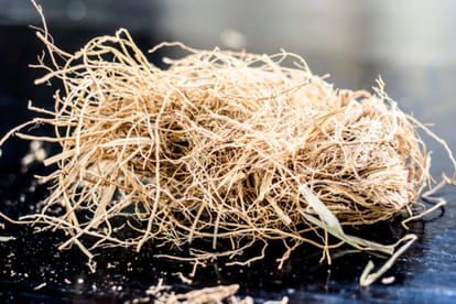 seven plants with medical powers make your immunity system strong and healthy amid coronavirus outbreak