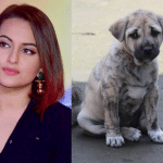 Sonakshi Sinha