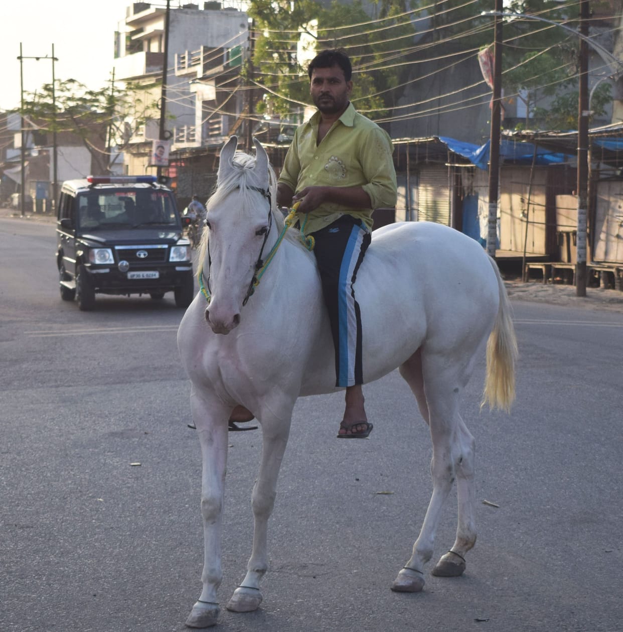 horse riding in lockdown