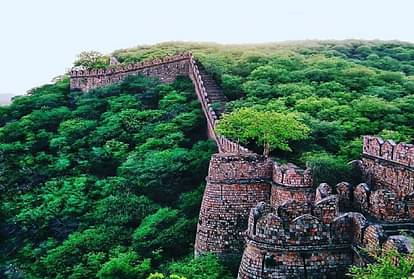 Rajasthan: पर्यटकों के लिए खुला अलवर का 'कुंवारा किला', जानें इस नाम का रहस्य और लंबे समय से बंद होने का कारण Bala Fort open for public in Rajasthan Alwar Kunwara Qila Hindi Story