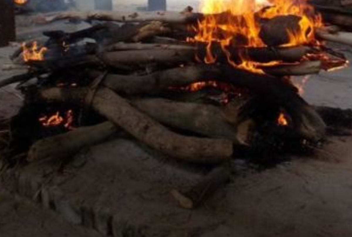 dabangs did not allow woman cremation in crematorium