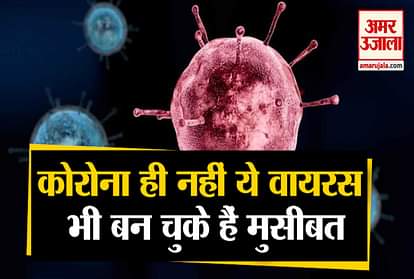 These 10 viruses have become a problem for the world even before