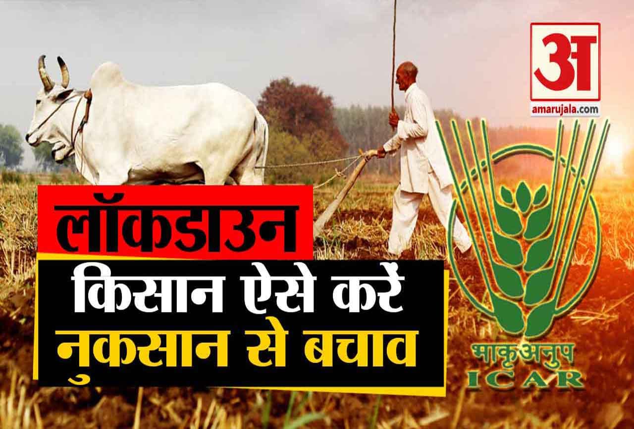 लॉकडाउन में किसान